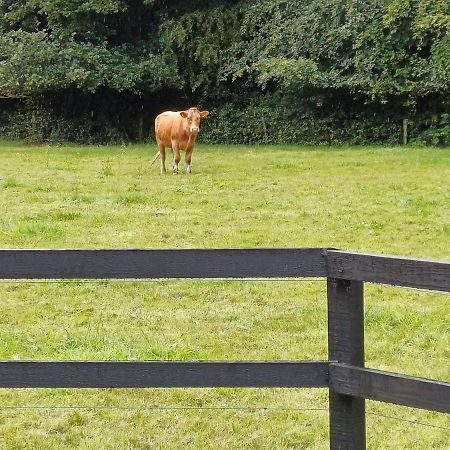 Lara, Maynooth W23P9H6 エクステリア 写真